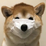 加薪不加班