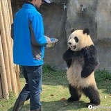 楠酱