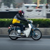 南糯山万万树