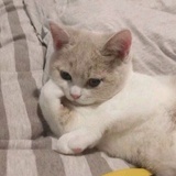 无