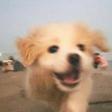 没deri思