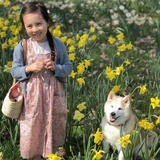 辋川风月