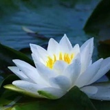 恭喜发财龚