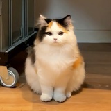 AAA雨村杂货铺
