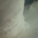 没皮