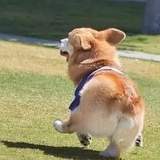 一点可爱