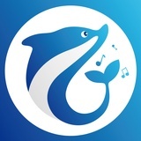 小海豚