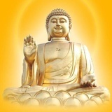 清纯甜心