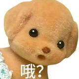Sdddfee