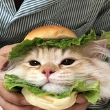 你猜猜啊_