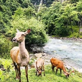 东方宝盒