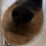 隔壁玛丽外送中