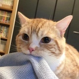 权相宇