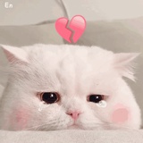 不可以乱花钱