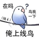 娱我无关