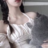 肥宅快乐猫