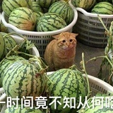 帮我想个ID