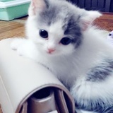 线代签名券