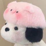 郭芙蓉