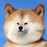 庆娣