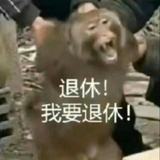 封心锁爱