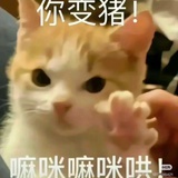 进化了👻