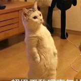 豆友198589295
