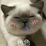 orz
