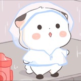 一只留留果