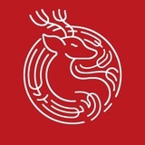 小鹿听课