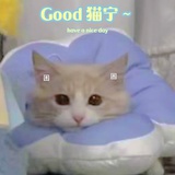 💕安💕