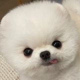 随便吃点
