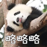 窝窝