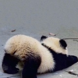 未期