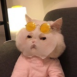 干枯毛躁的头发
