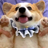 ccy