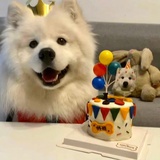 Ming