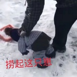 快快落落的仙子