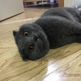 享想先生