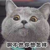 于影非