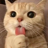 千羽向群🌈