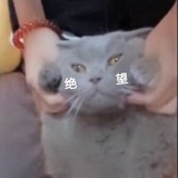 莫冷
