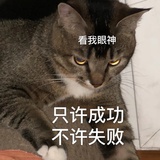 喵鱼粥´З`