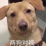 妙可蓝多奶酪棒