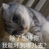 tes.jiejie