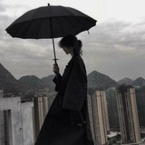 清风蝉鸣