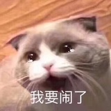 你们都是错的!