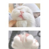 慢慢