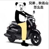 豆豆豆