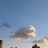 等风的我